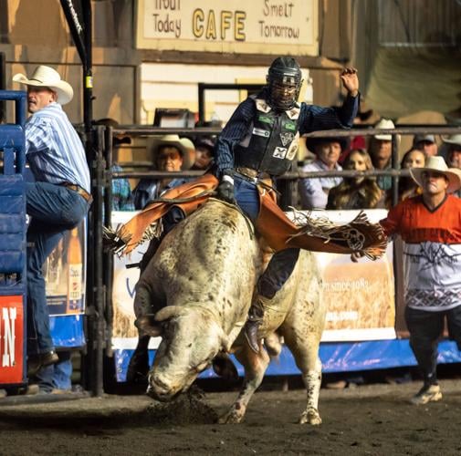 GALLERY: Professional Bull Riding 2023, Multimedia