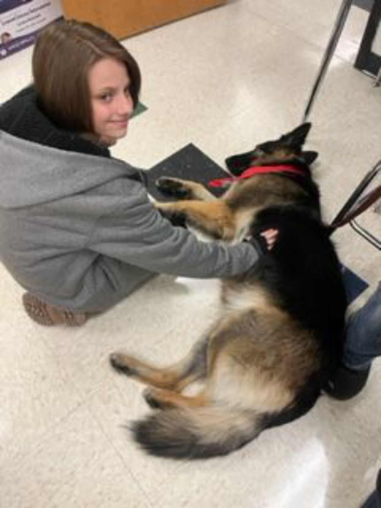 Marinette Middle School students benefit from therapy dog | Community ...