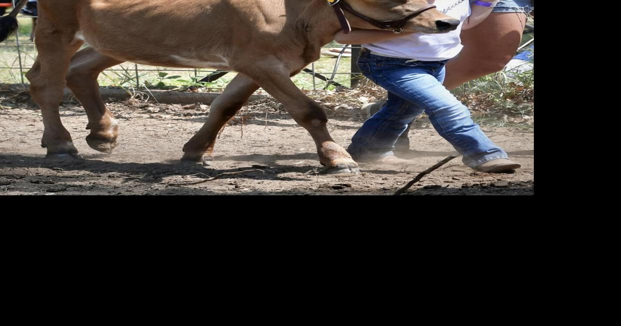 Your guide to the 2023 Menominee County Fair News