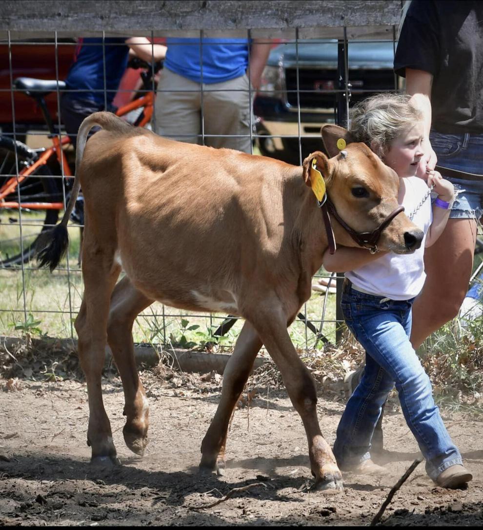 Menominee County Fair set for July News