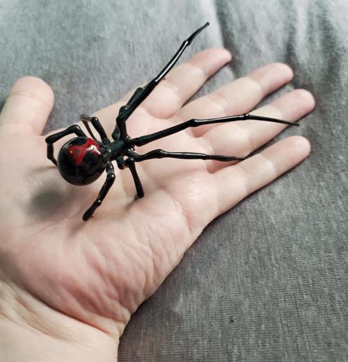Glass spider