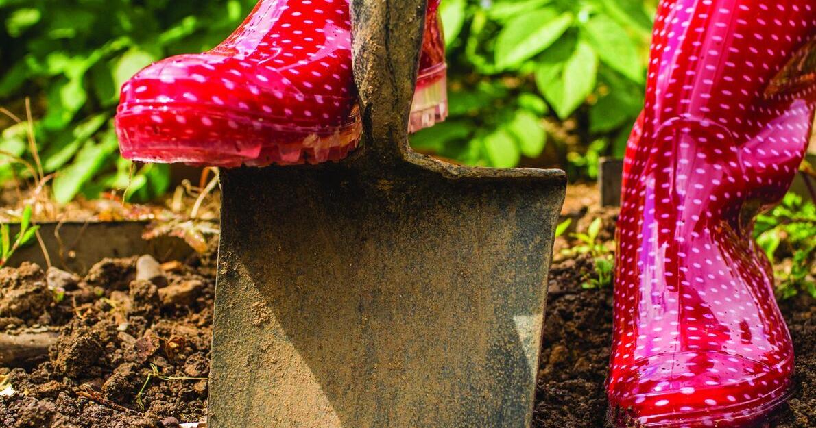 Read more Remember to call 811 before you dig