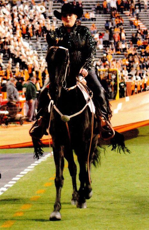 Vaughn rides at Vols' homecoming game