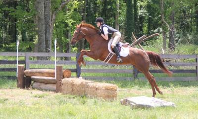 Riverdale Hosts Hunter Jumper Schooling Show Local Sports Elkvalleytimes Com