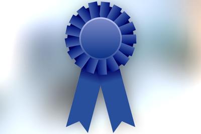 Finest Voting Online As Top Picks Are Named News Elkvalleytimes Com