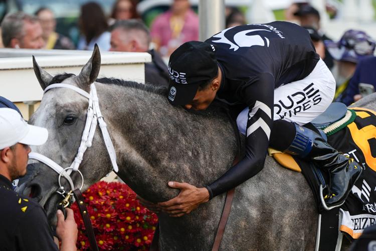 Preakness winner Seize the Grey is likely running in the 1st Belmont at