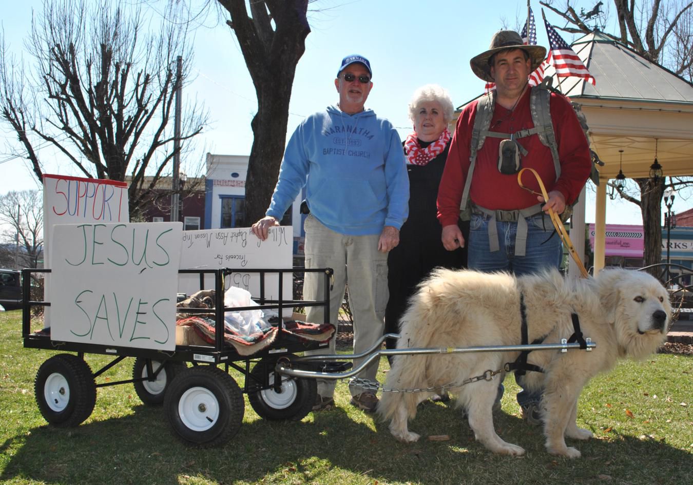 great pyrenees pulling cart