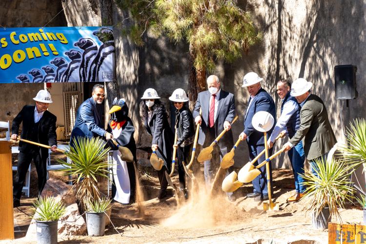 El Paso Zoo breaks ground on penguin exhibit | Local News | elpasoinc.com