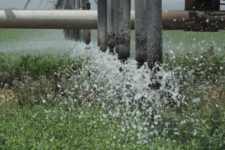 Preparing for days without Rio Grande, El Paso Water buys up Dell