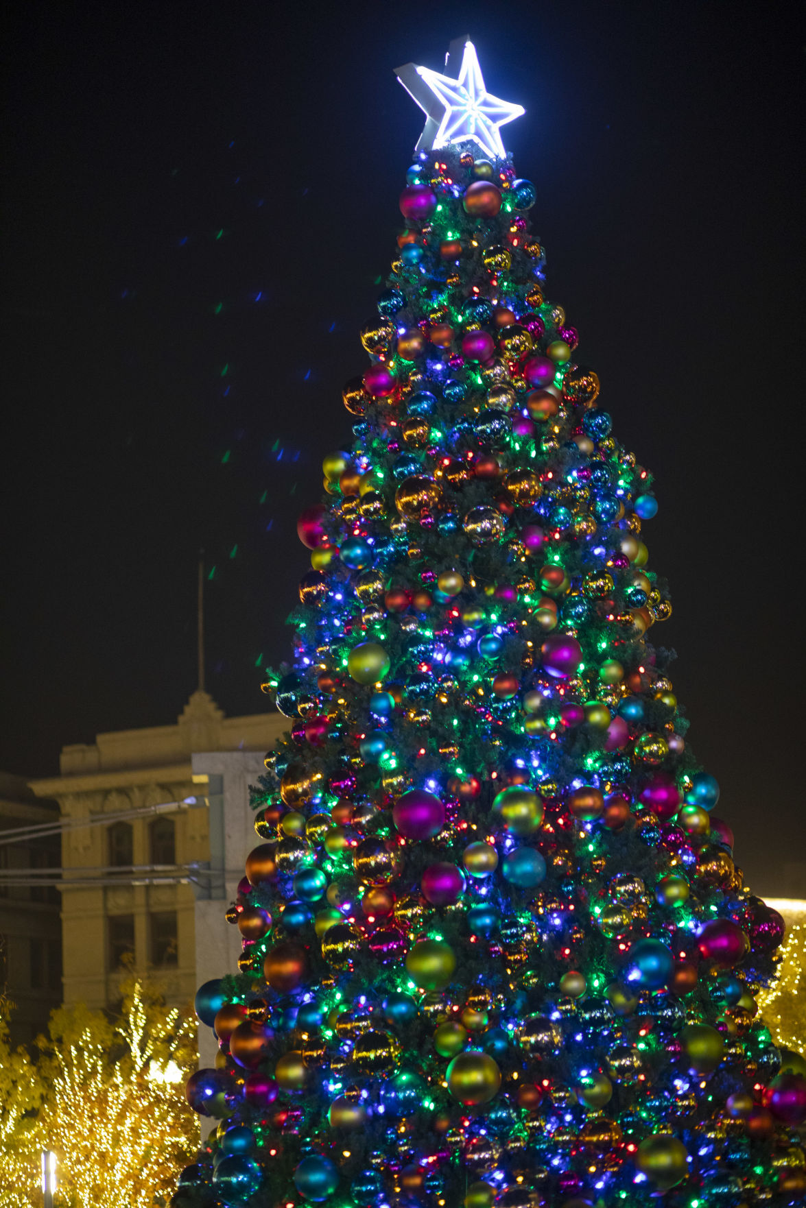 2022 El Paso Texas Christmas Tree Lighting Winterfest Scaled Down To Lights, Online Concerts | Lifestyle |  Elpasoinc.com