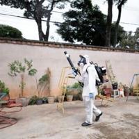 Casos de dengue no Brasil quadruplicam desde campanha de vacinação |  Nacional