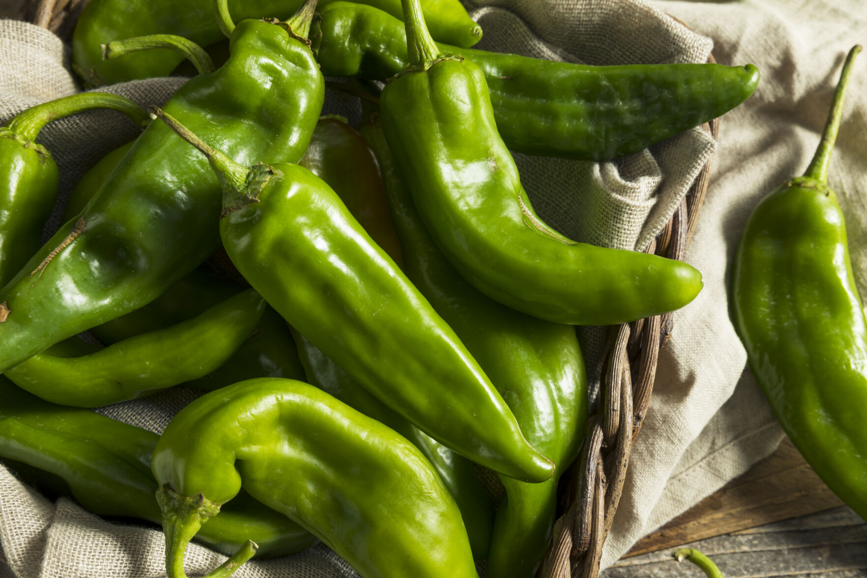 After nearly 4 decades, farmer gives up growing chile amid worker shortage Local News elpasoinc
