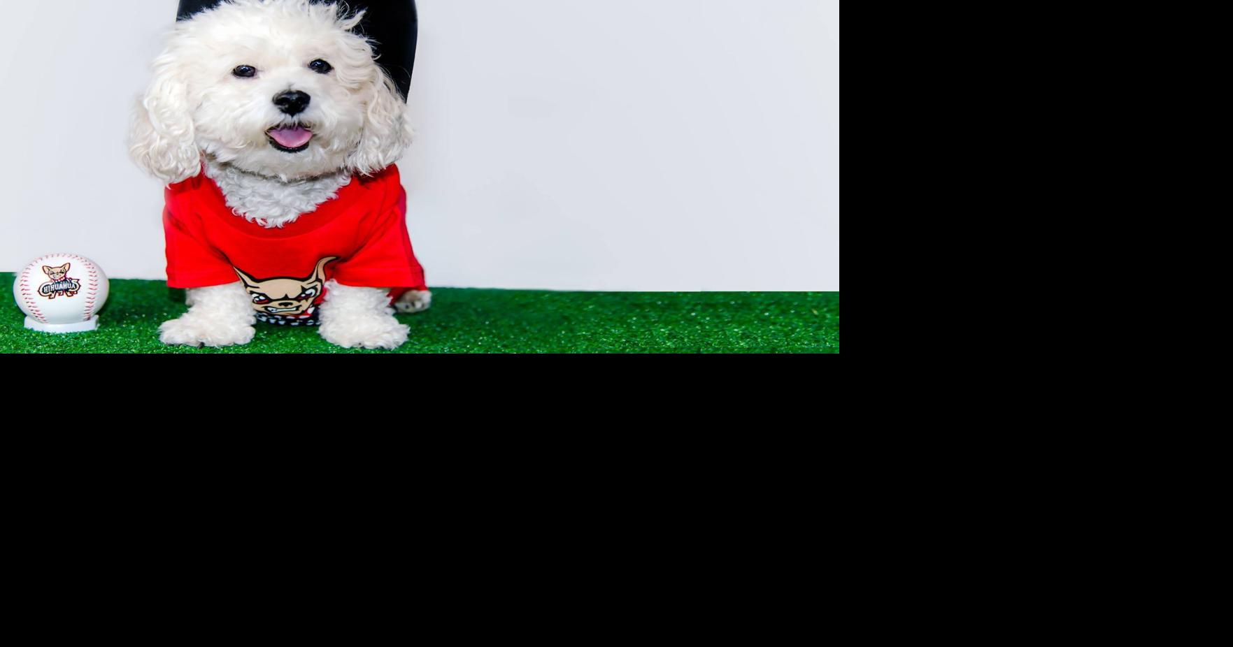 Kappy's Corner Zoology