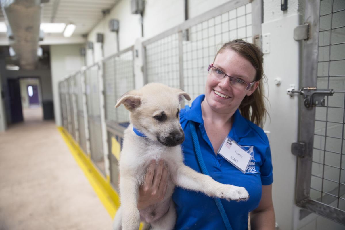 Best Local Nonprofit Humane Society Of El Paso 2019