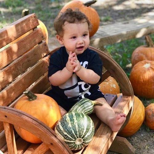 Get lost in fun at mazes, pumpkin patches | Local Features ...