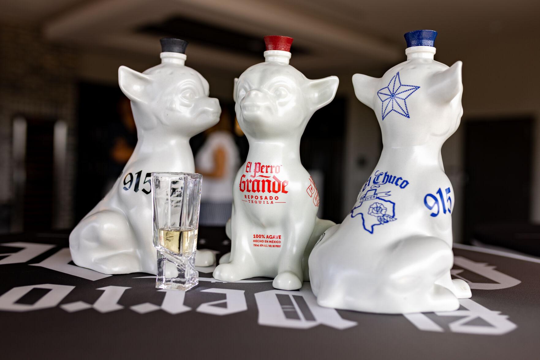 Chihuahua with Tequila: A Cultural Confluence of Art, History, and Tradition