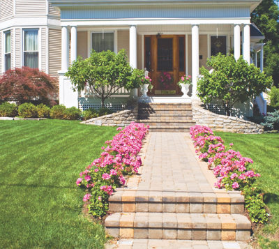 front yard.png