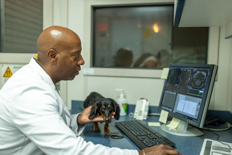 El Paso’s new pet neurologist will see you meow Local News