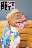 Best Pet 2019