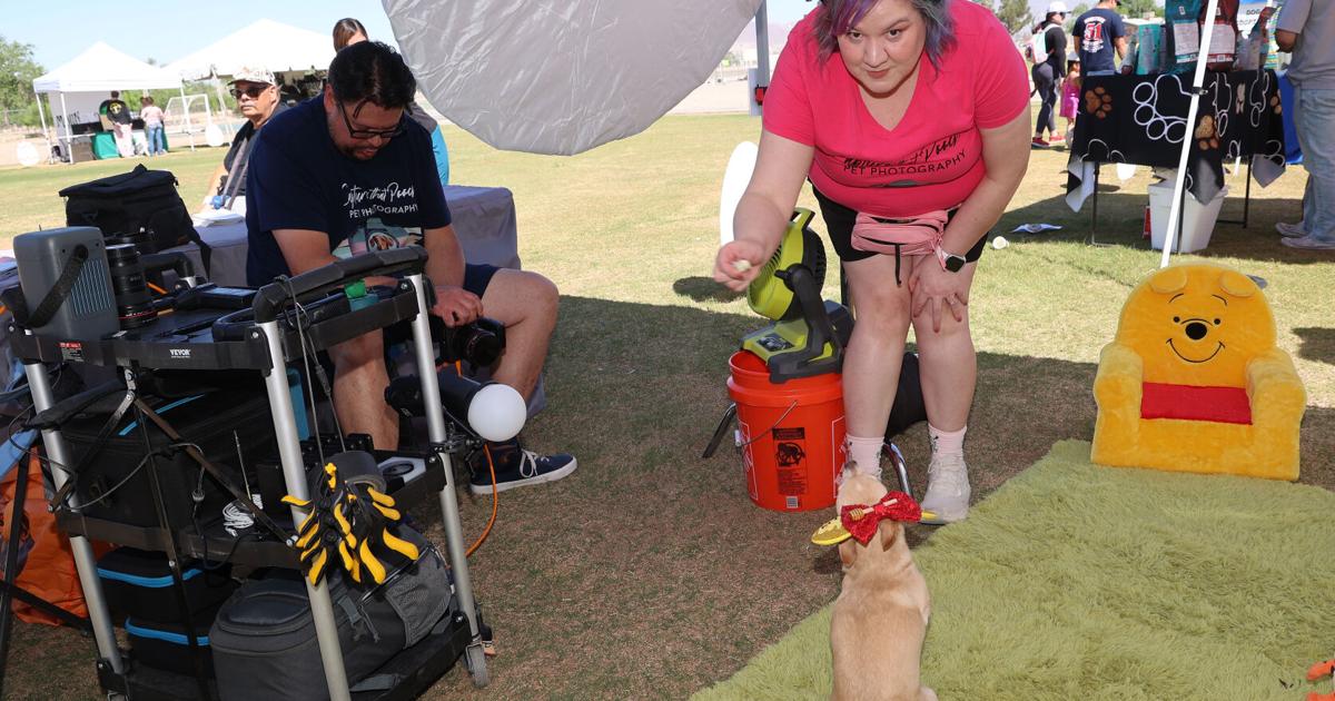 Cute, funny & adorable: Capture that Pooch | Magazine | elpasoinc.com