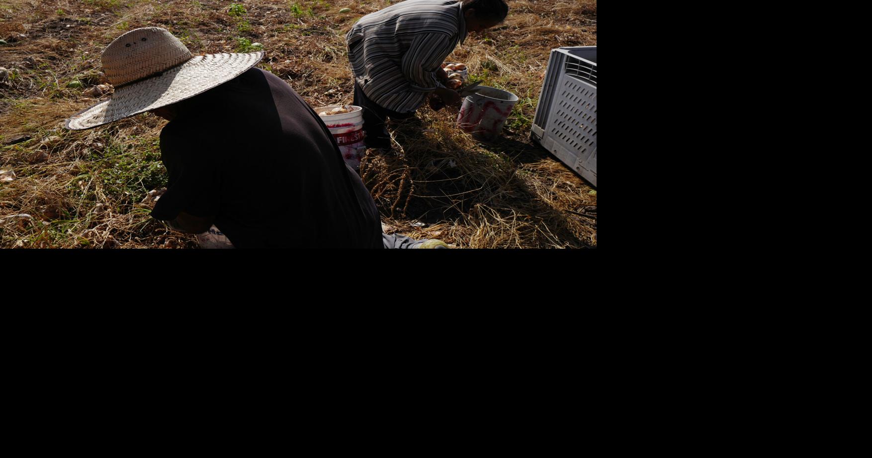 Parkinson’s disease is consistently linked to pesticide exposure. Farmworkers — and nearby communities — are at risk in Texas’ Rio Grande Valley