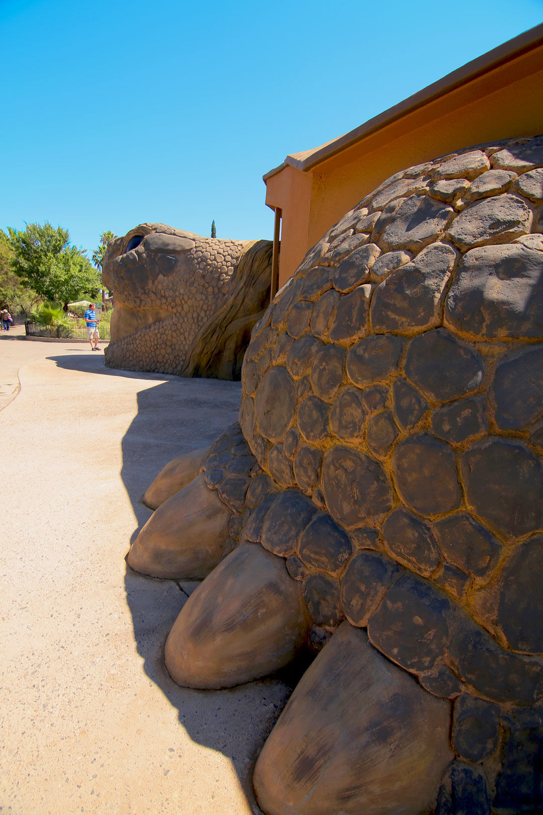El Paso Zoo hosts Reptilia, opens Reptile House Lifestyle