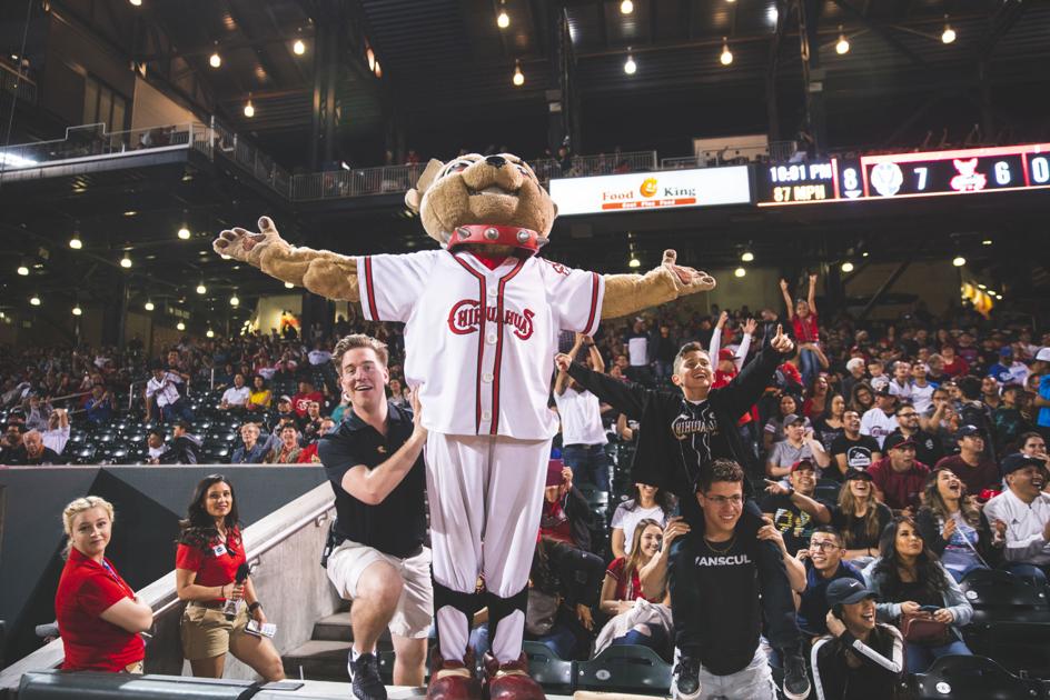 Chihuahuas Tickets On Sale Local Features Elpasoinc Com