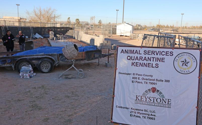 Kennel Programmatic Rwas El Paso County inmates train dogs and give them a second life | Local ...