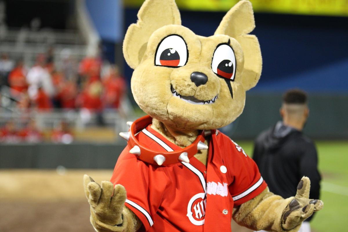 Chihuahuas baseball to return this spring Local Features