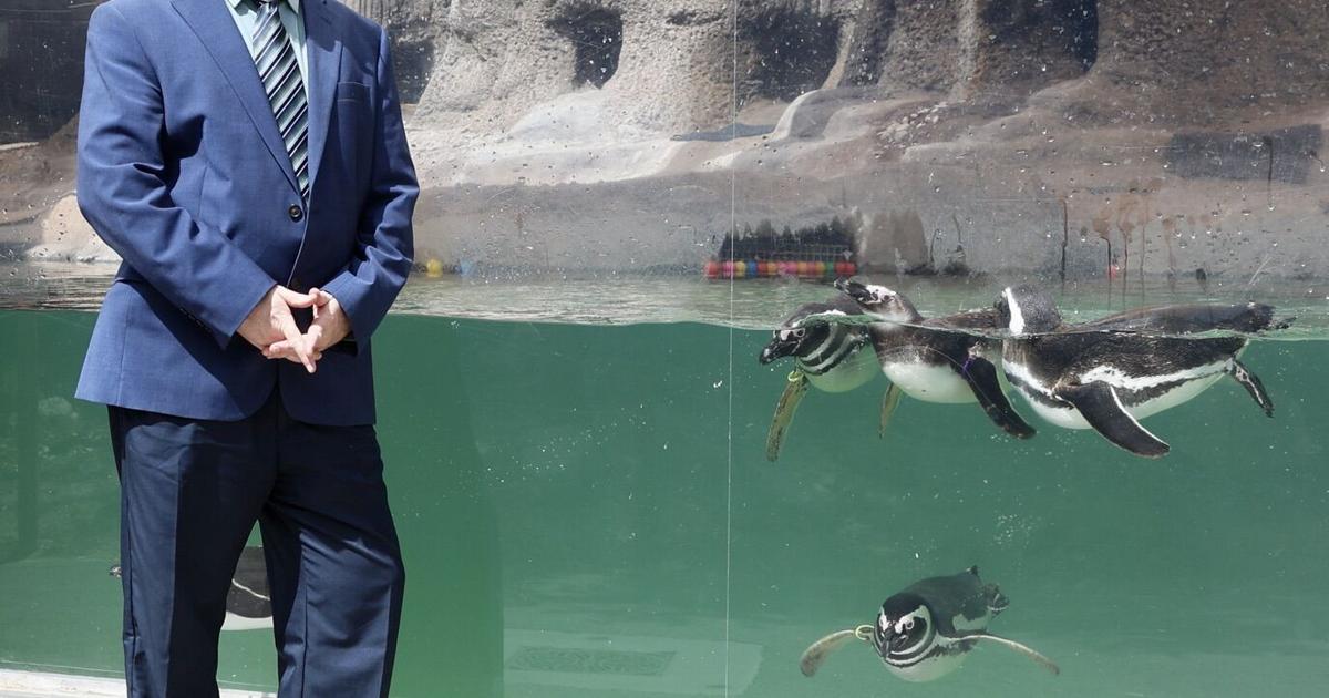 Q&A: Gary Lunsford, director of the El Paso Zoo and Botanical Gardens