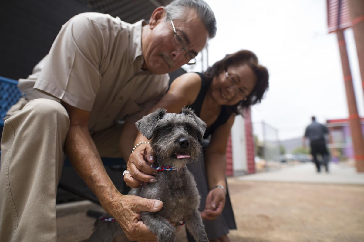 Puppy Love Local Features Elpasoinc Com