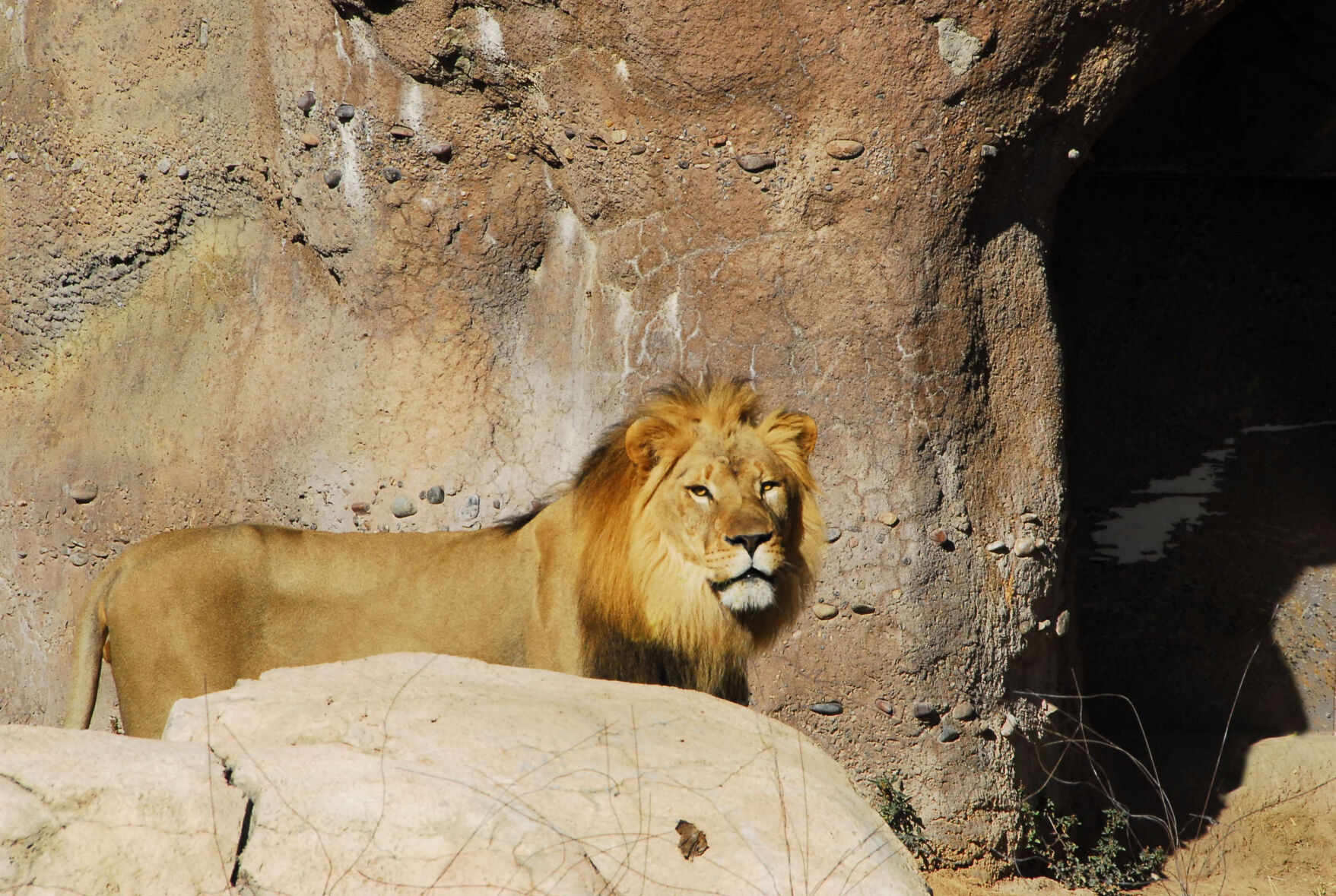 61e0a1fa2088d.image.jpg?resize