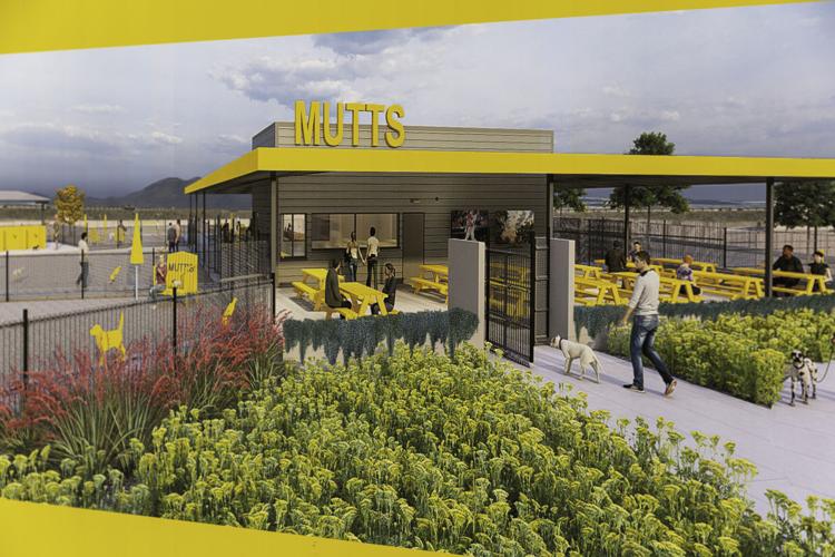 MUTTS Canine Cantina coming soon Local Features