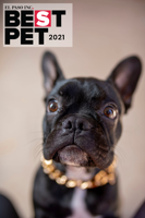 Best Pet 2021