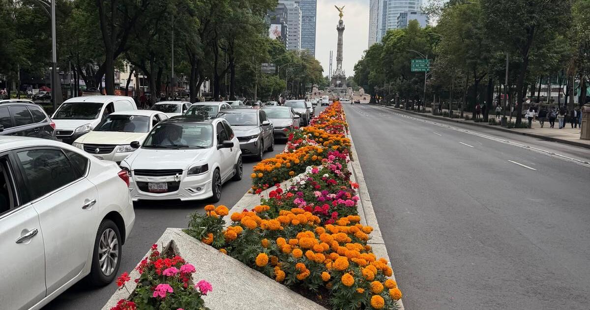 Mexico City World Cup