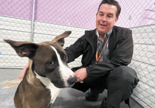Terry Kebschull El Paso Animal Services
