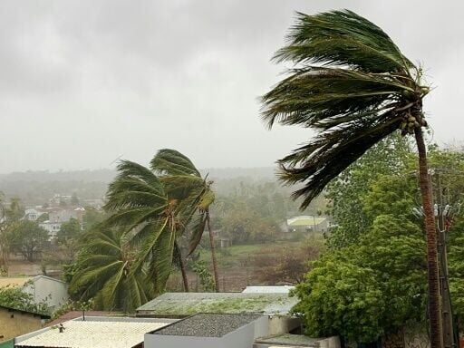 Cyclone Chido Death Toll Rises To 94 In Mozambique | National ...