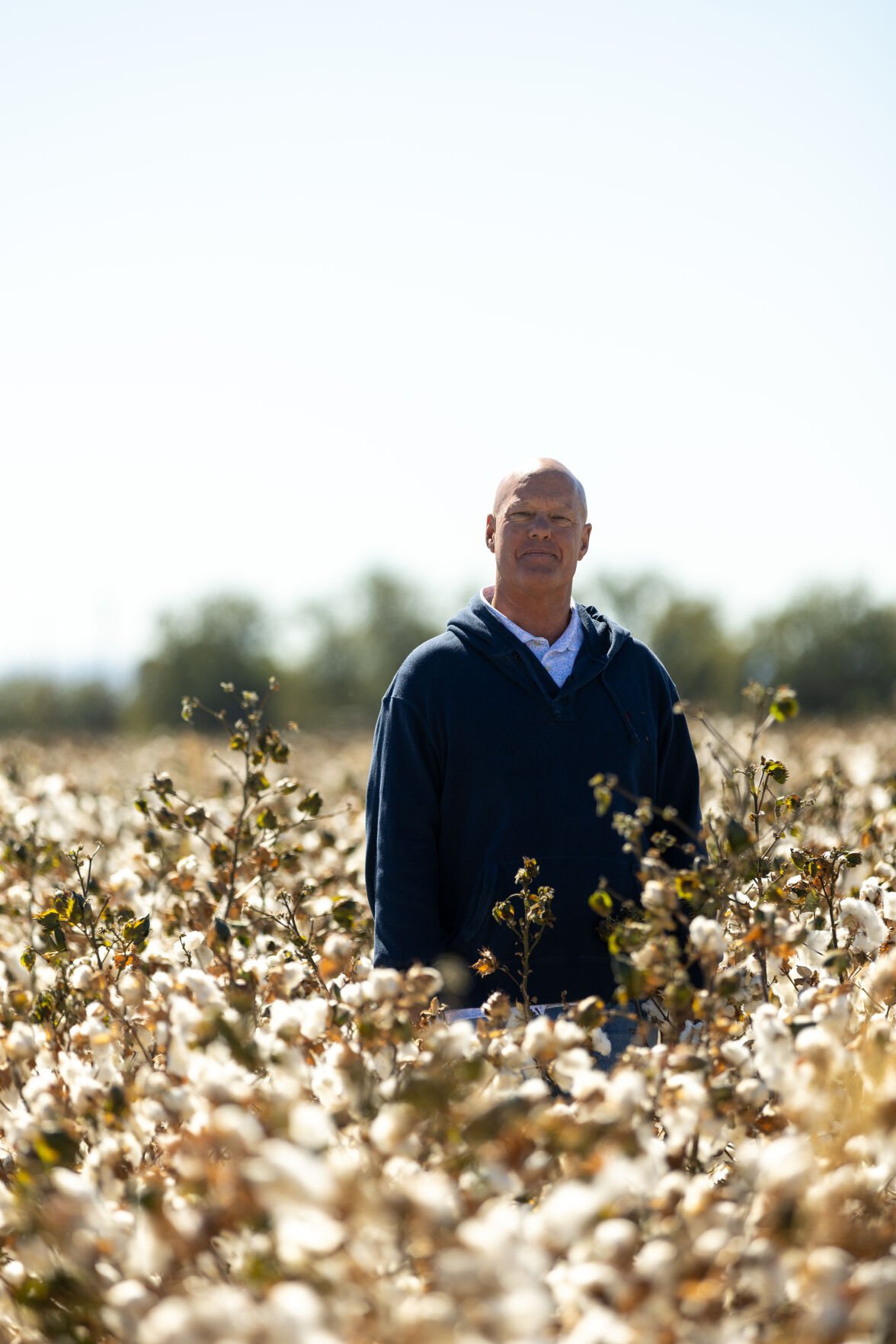 Prospect of delayed cotton sowing unnerves farmers - Business