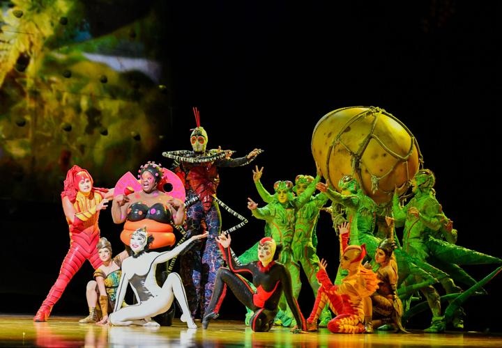 Buggin' out with Cirque du Soleil's 'Ovo' show | Lifestyle ...