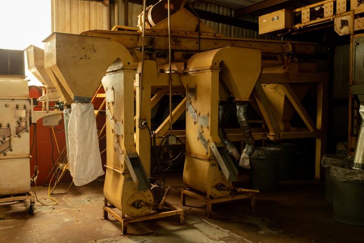 Down on the farm Ramirez Pecan Farm offers reprieve from city life and