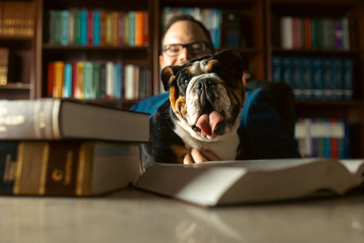 Animal cruelty laws protecting El Paso’s animals The Legal Issue