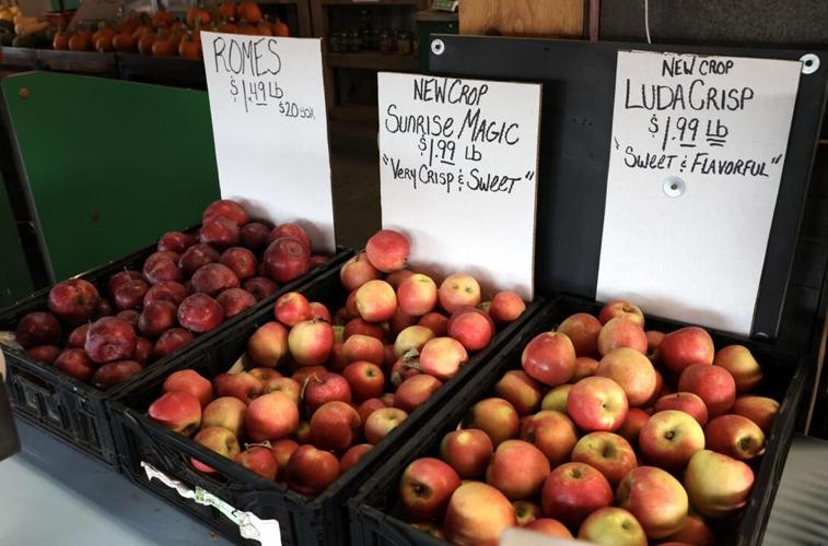 Más manzanas, más variedades en la cosecha de Washington este año ...