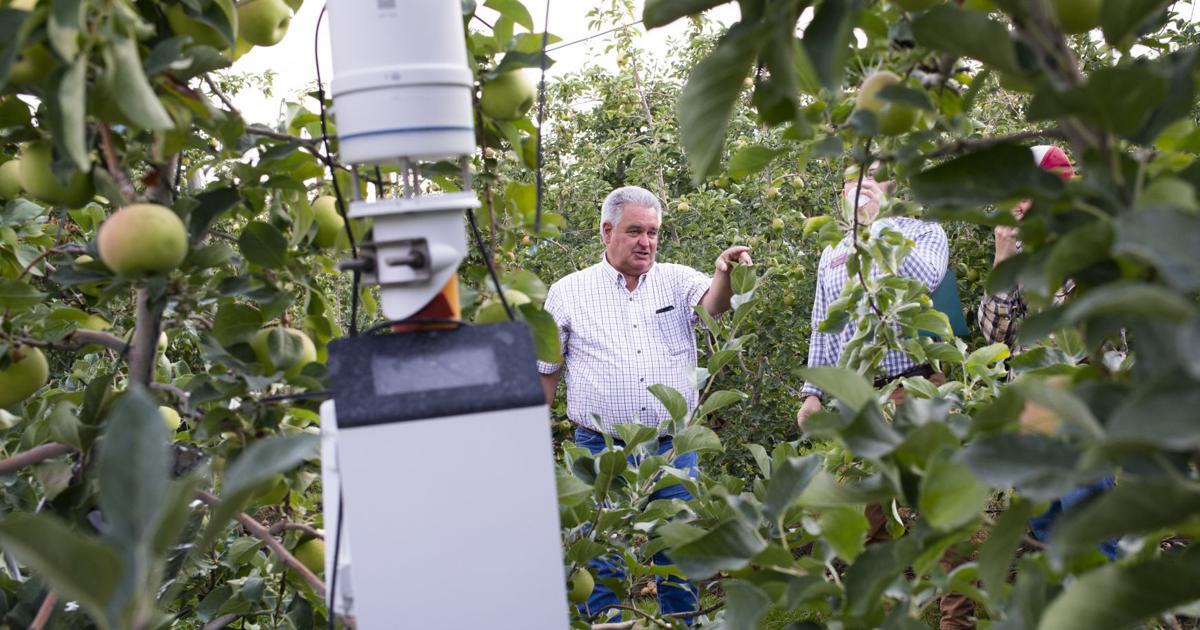 Huerto Rancho Se prueba tecnología de