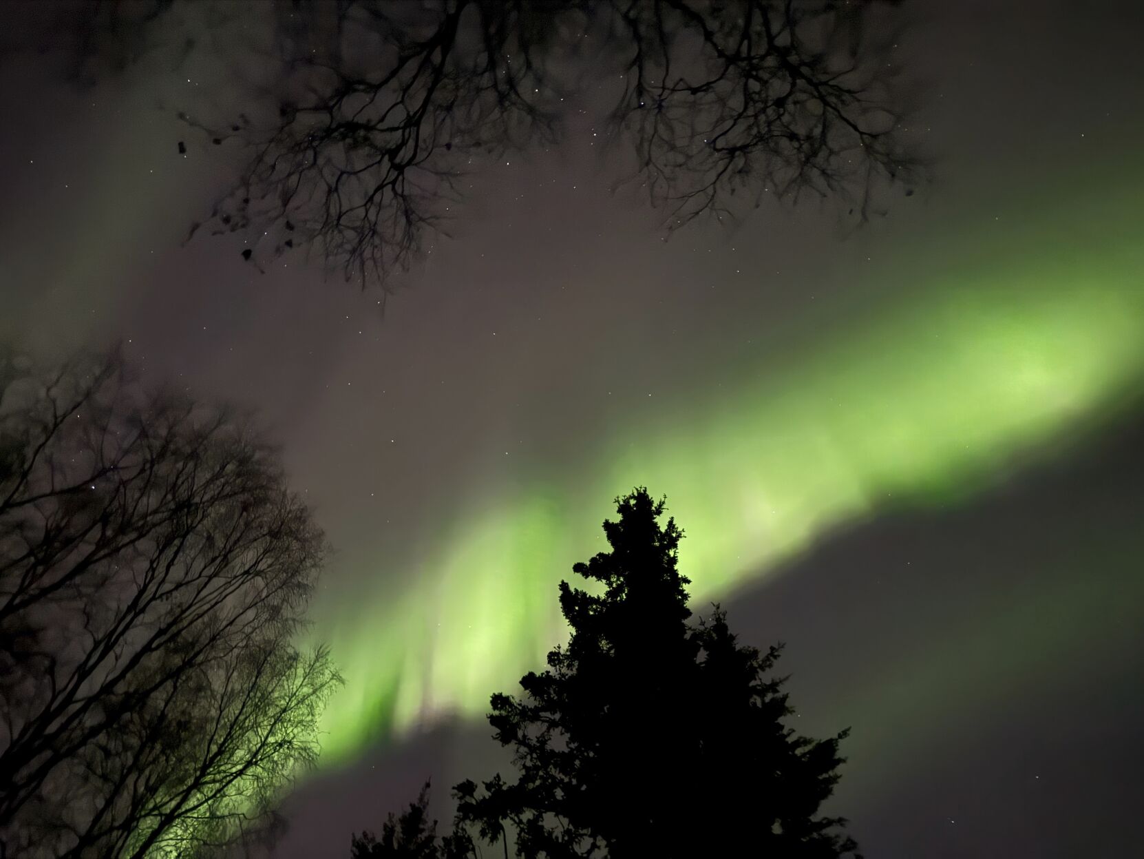 Luces Del Norte Podrían Verse Levemente En Partes De EEUU Este Día De ...