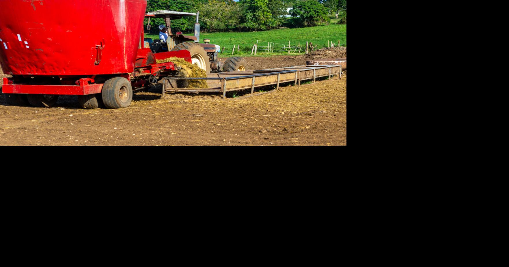 Lee la nueva columna editorial de EL VOCERO.