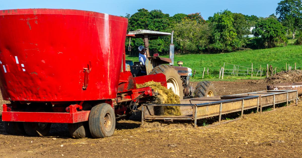 Cultivemos seguridad alimentaria