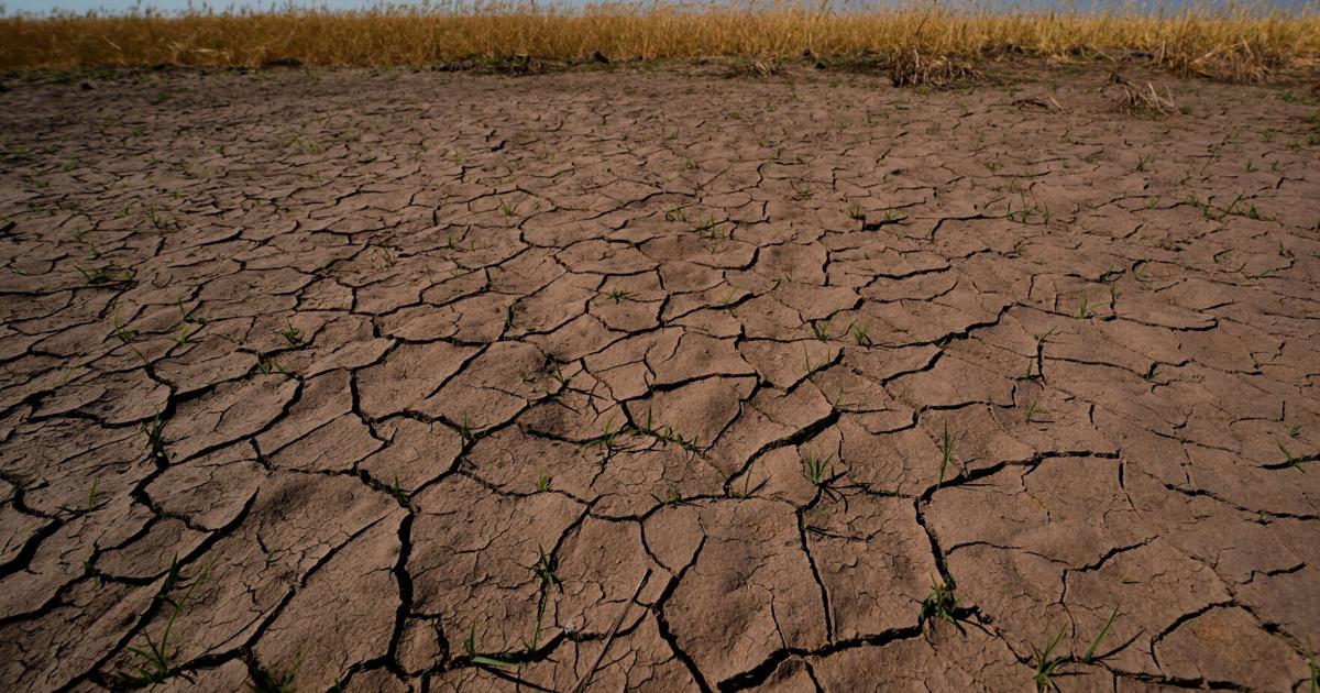 El Niño comienza oficialmente y podría alcanzar fuerza histórica con eventos climáticos extremos