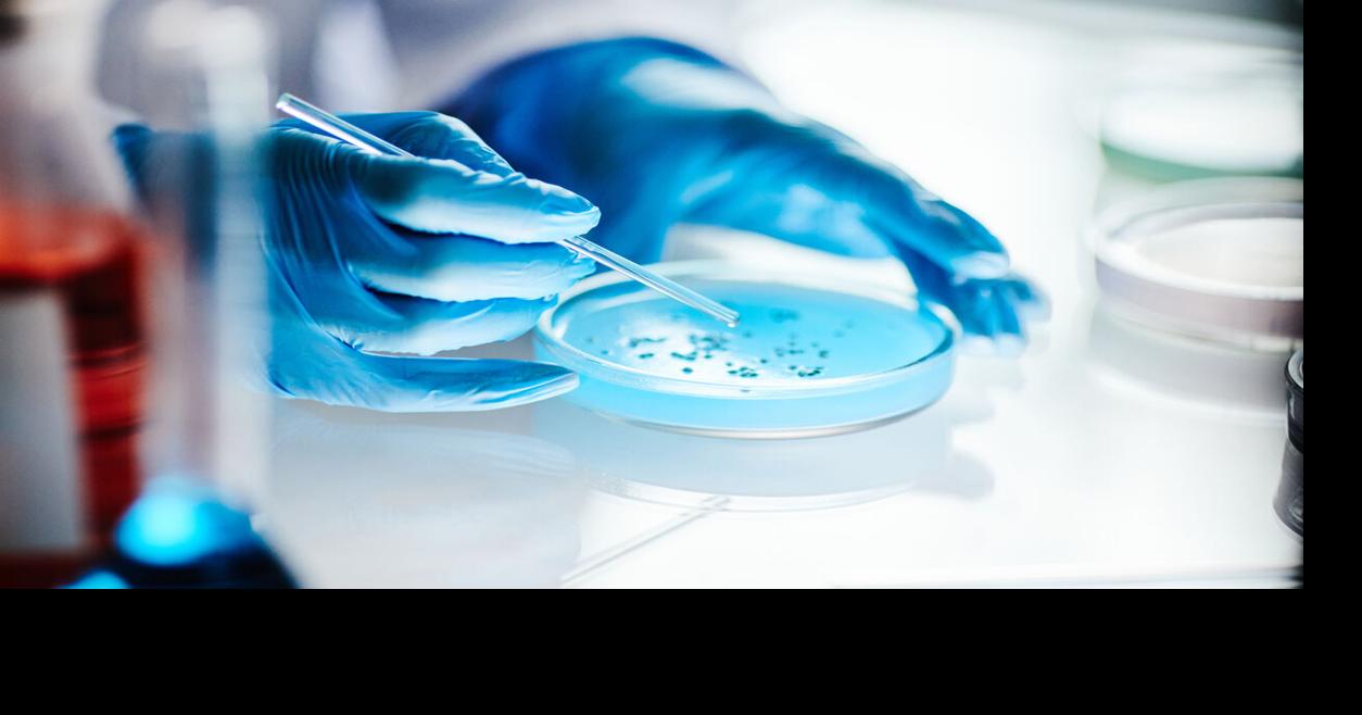 Autoridades de salud en alerta por presencia de bacteria "devoradora de carne" en Puerto Rico