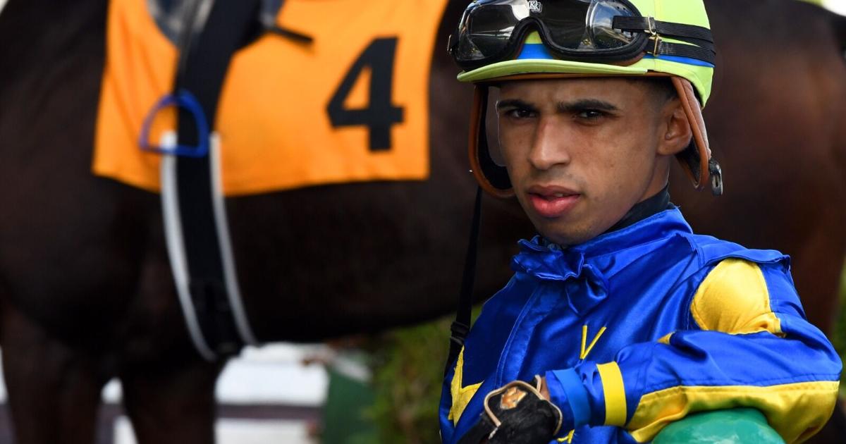 Mr. Shelby y Madeval, favoritos en carrera de dosañeros importados en Camarero