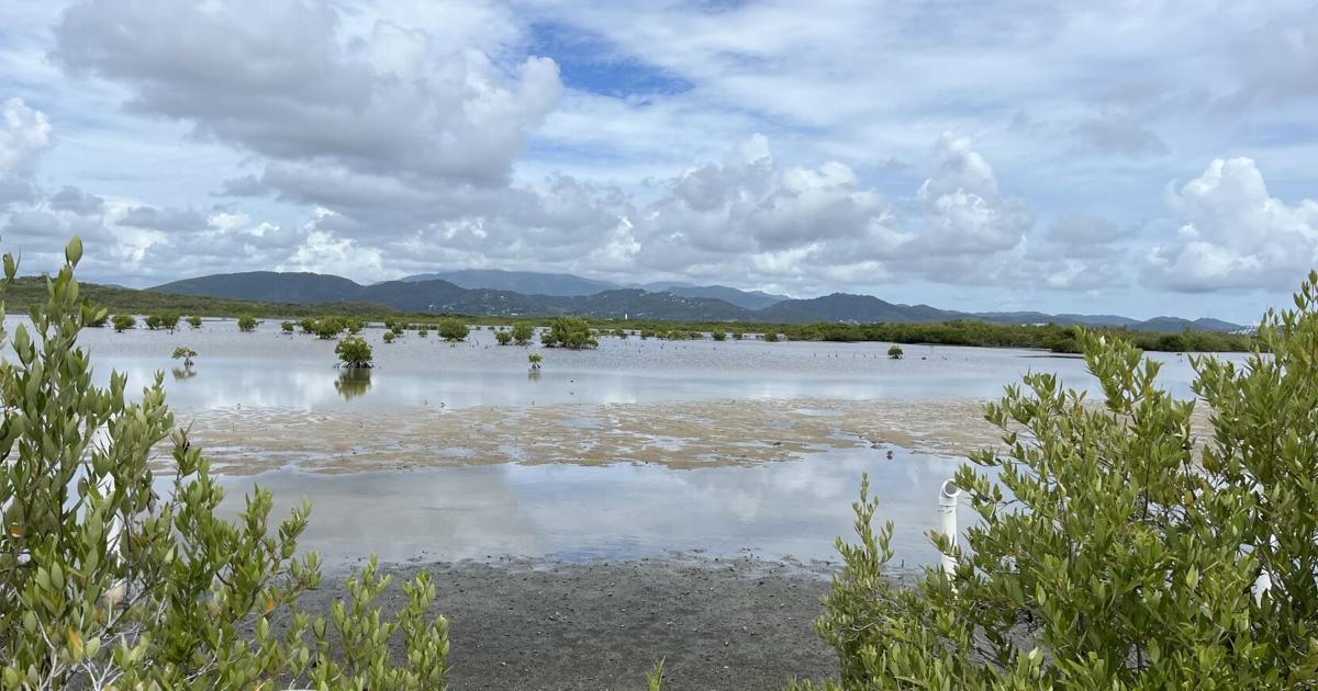 Un día de exploración por la naturaleza de Ceiba